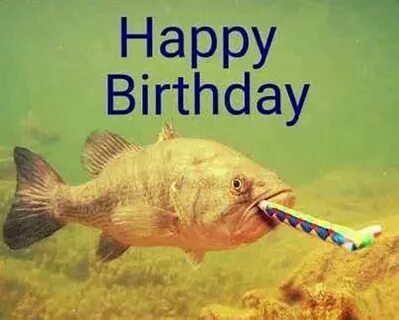 15 Funniest Happy Birthday Fishing Meme Images Happy birthda