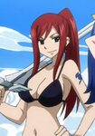 erza scarlet - Google Search Fairy tail erza scarlet, Fairy 