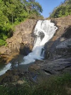 Kanthanpara Waterfall (Kalpetta, India) - Review - TripAdvis