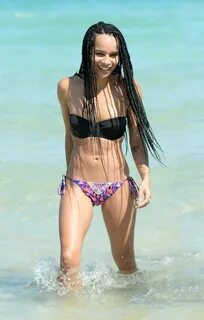 ZOE KRAVITZ in Bikini on the Beach in Miami - HawtCelebs