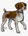 Transparent Beagle Clipart - Cute German Shorthaired Pointer