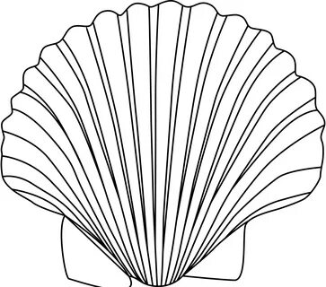 Sea Shell Clip Art; Seashell Outline Clip Art - Viewing Gall