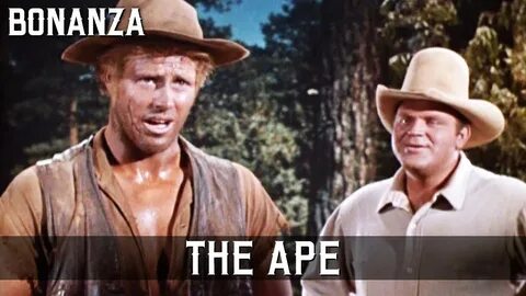 Bonanza - The Ape Episode 46 Wild West Full Episode English 