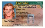Florida (FL) - Drivers License PSD Template Download - IDVik