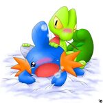 Rule34 - If it exists, there is porn of it / mudkip, treecko