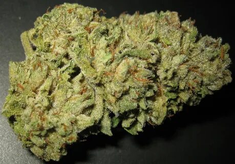 Buy King Kush High CBD Marijuana Seeds - Medical Marijuana S
