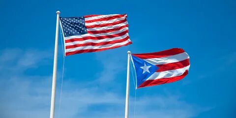 Voting Puerto Rican - Pavement Pieces