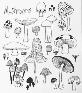 Cool Mushroom Drawing Easy