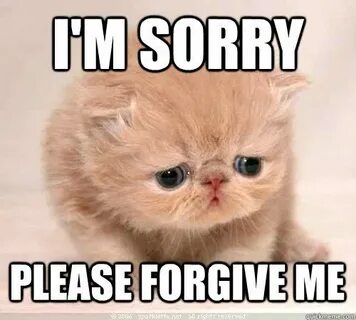 I'm sorry please forgive me and 10 more purrfect I'm sorry m