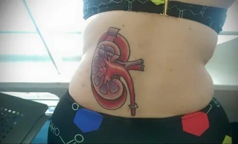 Фото татуировки с почкой человека 26.03.2020 № 071 -kidney t