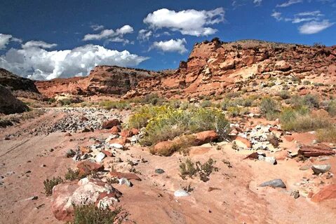 File:HANKSVILLE AREA, GARFIELD CO, UTAH - 2016-10-02 - Poiso