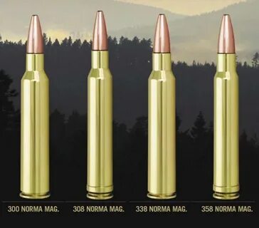 338 Win Mag Vs Lapua - Floss Papers