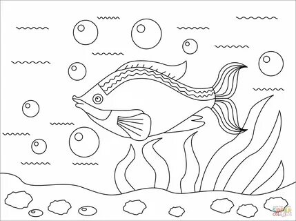 Fish coloring page Free Printable Coloring Pages