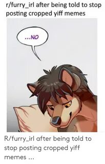 🐣 25+ Best Memes About Cropped Yiff Cropped Yiff Memes