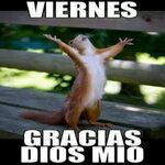 Viernes Funny animal memes, Happy squirrel, Humor