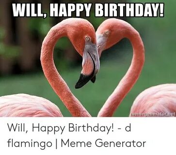 🐣 25+ Best Memes About Flamingo Meme Flamingo Memes