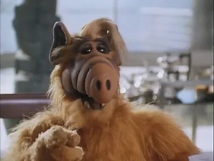 #Alf #NBC Один из главных сериалов вашего детства может верн