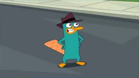 Perry the Platypus Disneytown Wiki Fandom