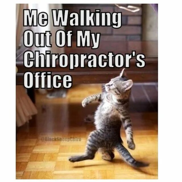 Photo by Holbrook Chiropractic PC on June 10, 2019. 