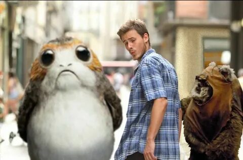 Porgs Star wars fans, Star wars humor, Star wars memes