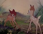 Disney Animated Movies for Life: Bambi Part 2