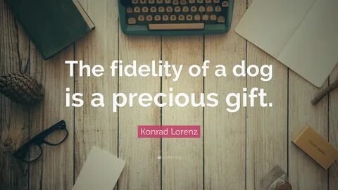 Konrad Lorenz Quote: "The fidelity of a dog is a precious gi