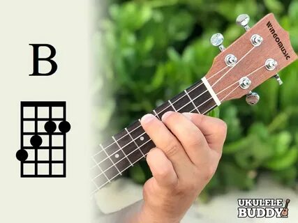 statistiques arrière chaîne how to play bb chord on ukulele 