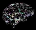 Насколько "умны" современные нейронные сети и системы на их 