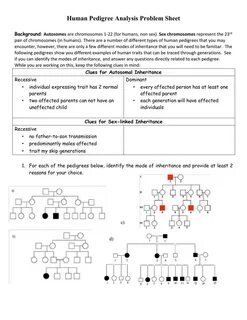 Pedigree Practice Problems Worksheet Answers - Draw-nugget