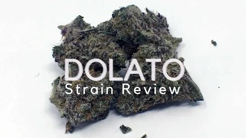 Dolato Cannabis Strain review - Steemit