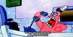 No this is patrick gif 1 " GIF Images Download