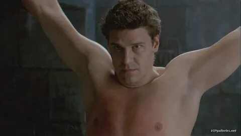 David Boreanaz @ Gay-Male-Celebs.com