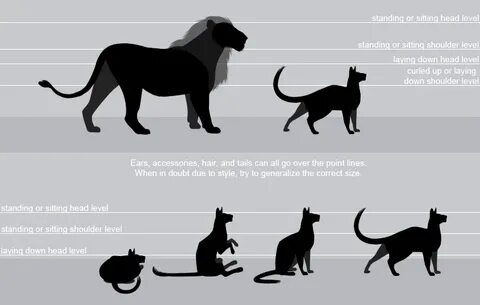 Big Cat Size Comparison To Human - Maine Coon Size Compariso