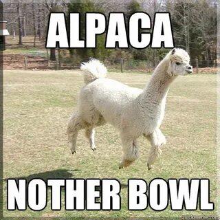 Alpaca bowl memes quickmeme