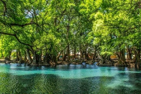 Los rincones más maravillosos de México! Lago de camecuaro, 