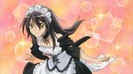 Buy maid sama maid outfit cheap online