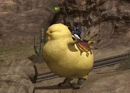 danny בטוויטר: "i leave you all a fat chocobo because they a