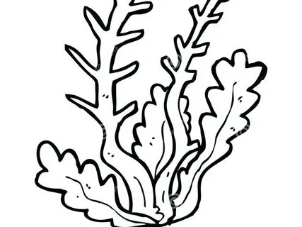 The best free Seaweed coloring page images. Download from 87