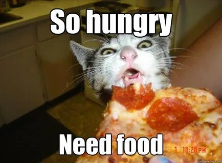 Rinna goes hungry........... - Rangers - Nerd Fitness Rebell