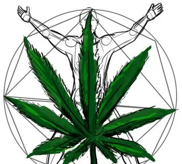 The science of getting high: How weed works in the body - Th