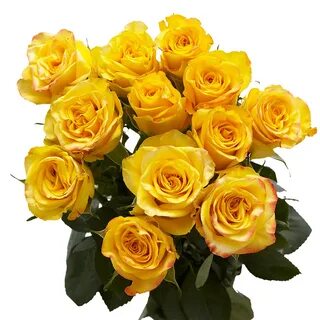 Dozen Yellow Roses Free Valentine's Day Delivery GlobalRose