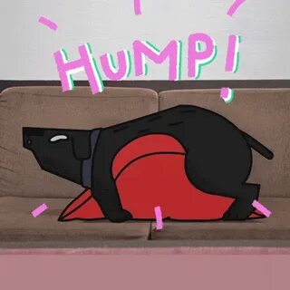 Hump dog hump happy GIF - Find on GIFER