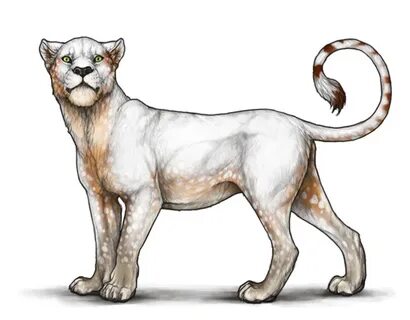 Applicator Markings Lioden Wiki Big Cats Art Lion Art Lion -