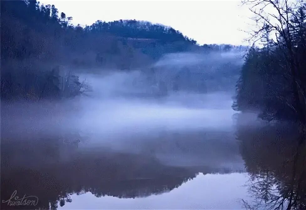 Foggy Nature GIF - Foggy Fog Nature - Discover & Share GIFs