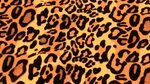 Фон фиолетовый леопард (183 фото) " ФОНОВАЯ ГАЛЕРЕЯ КАТЕРИНЫ