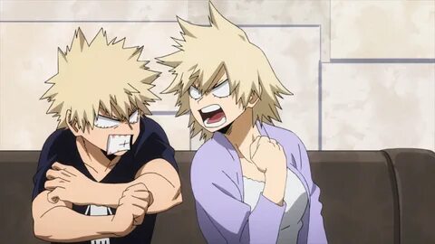 About the Bakugou's Fandom