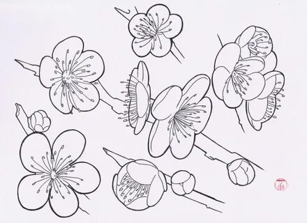 Easy Japanese Flowers Drawings - Фото база