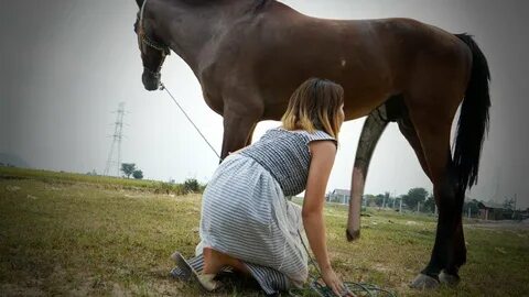 Girl plays with horse cock ♥ Rule34 - If it exists, there is