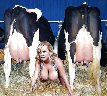 Girls with boobs like cows