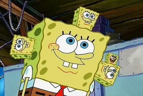 Ever wondered if SpongeBob SquarePants is a sea sponge or a 